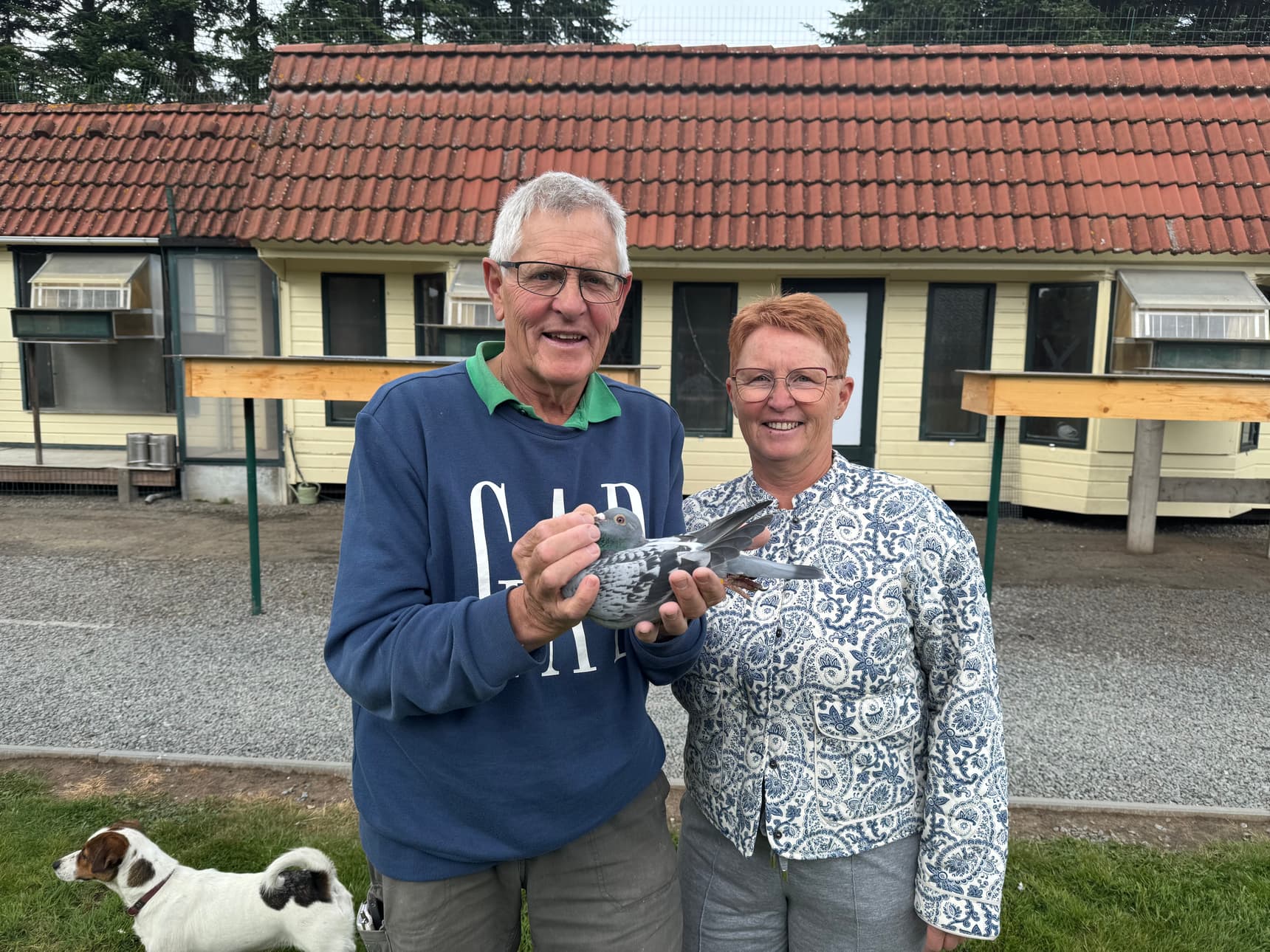 Pigeon Bids Van Elsacker-Jepsen