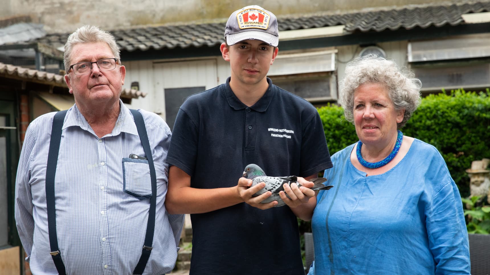 Pigeon Bids Winkens-Rothenburg Part II