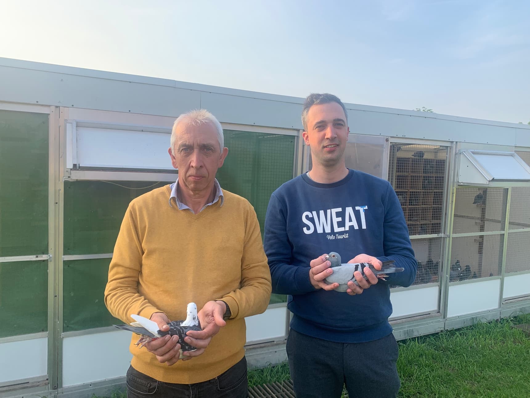 Pigeon Bids Bombeke Luc part 1