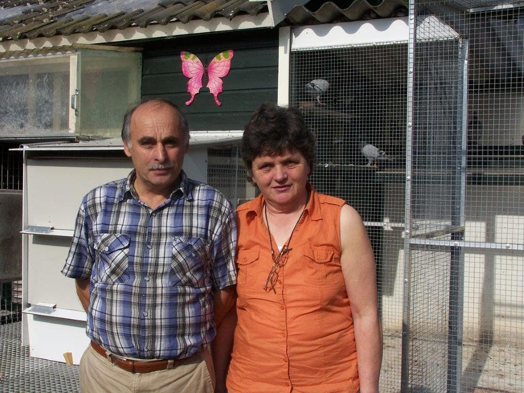 Pigeon Bids Vromans Comb. - Vente totale- Partie IV