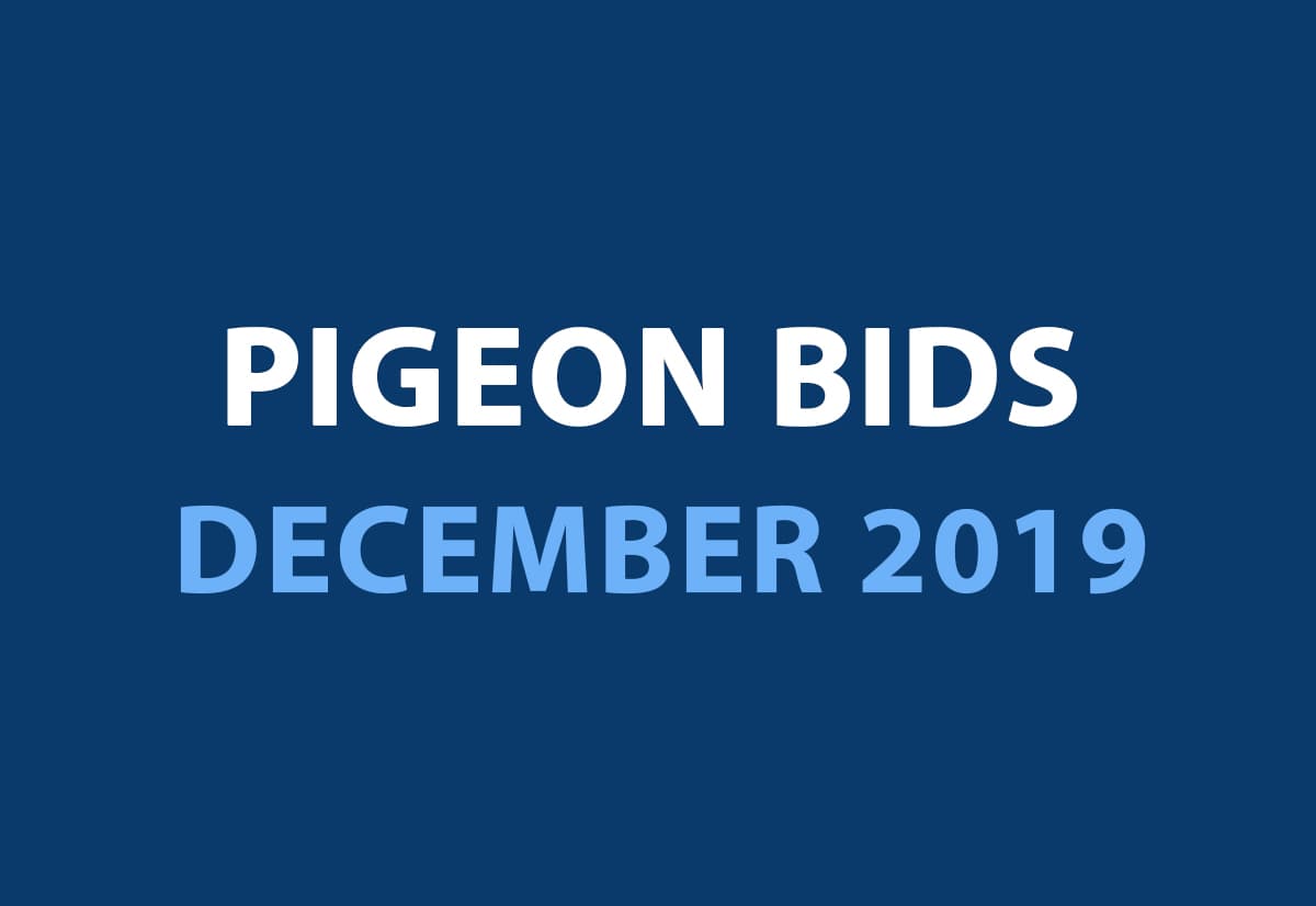 Pigeon Bids December 2019