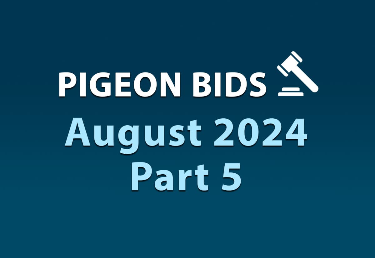 Pigeon Bids August 2024 Part 5