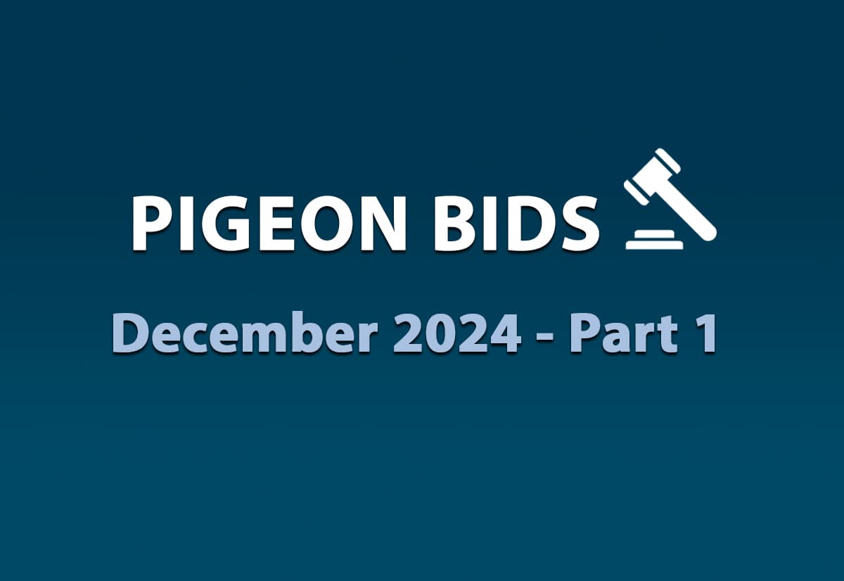 Pigeon Bids December 2024