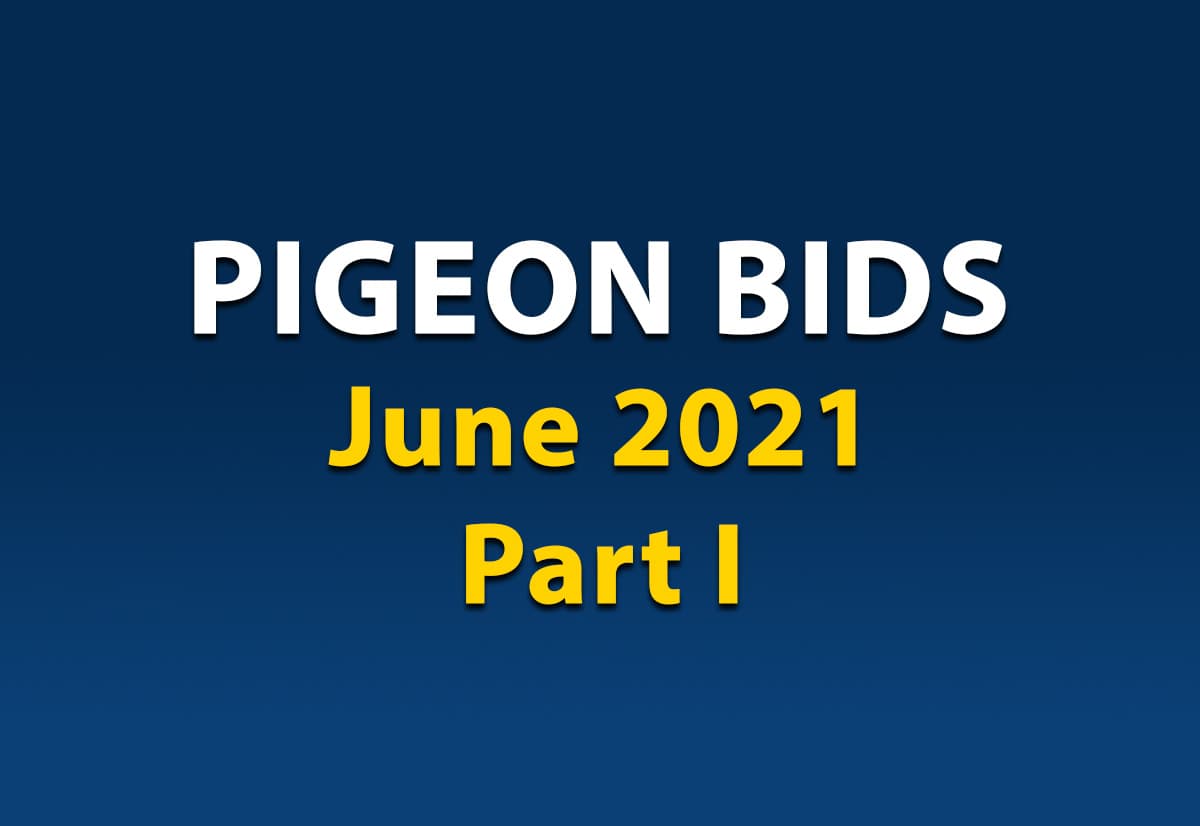 Pigeon Bids June Part I