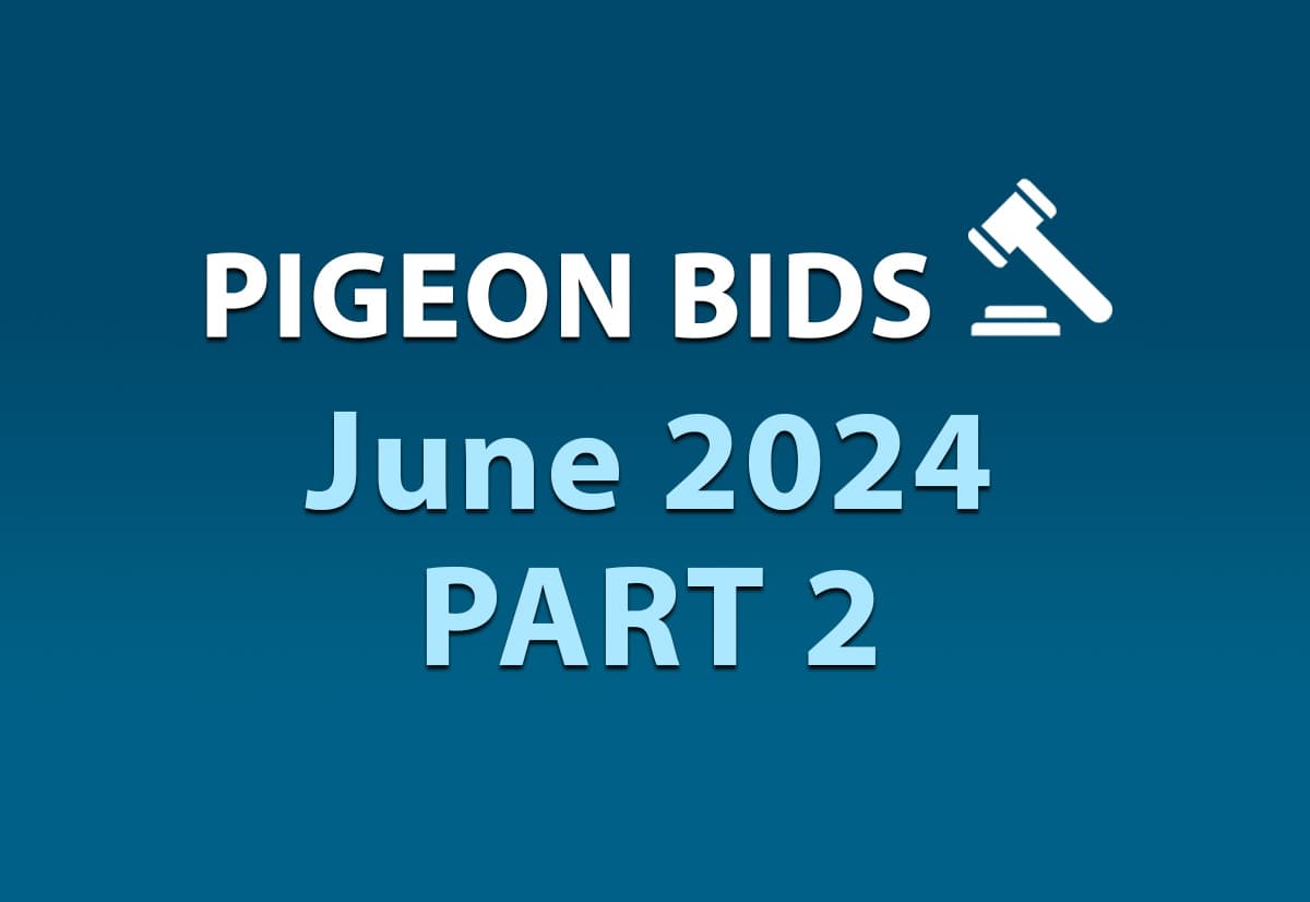 Pigeon Bids June 2024 - Part 2