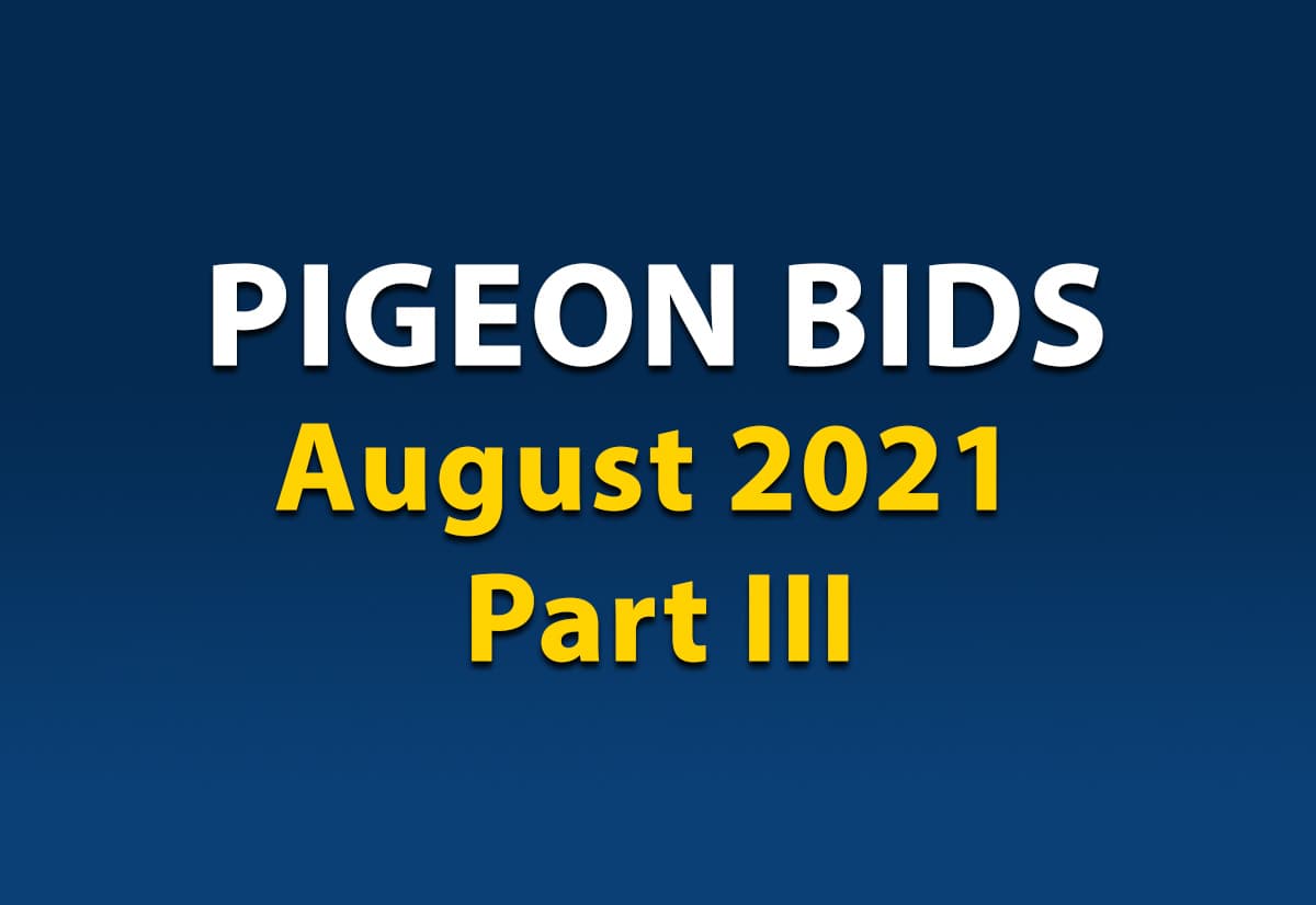 Pigeon Bids August 2021 Part III