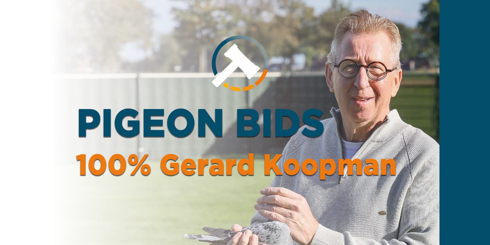 Pigeon Bids  „ZUMDIEK PIGEONS… The Best Of Koopman“