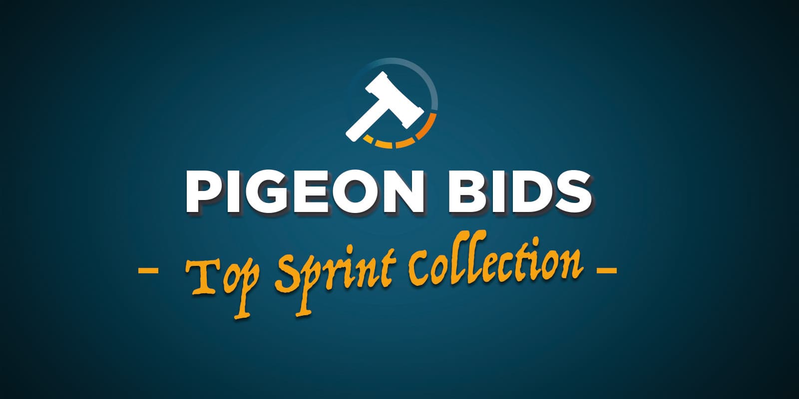 顶级短距离收藏鸽