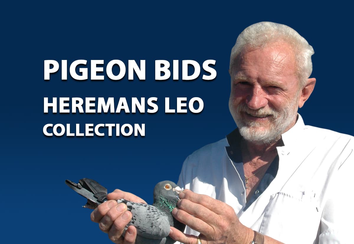 里奥.贺尔曼珍藏网络限时拍卖会