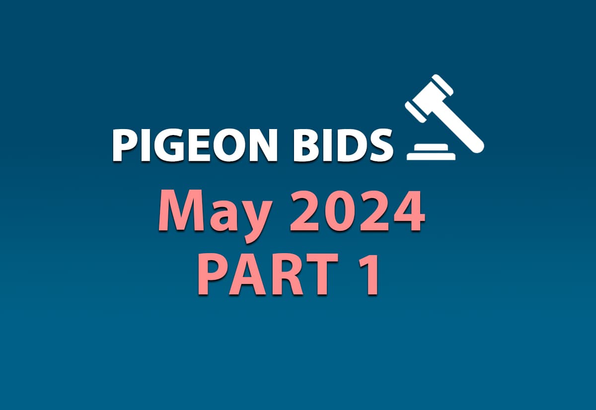 Pigeon Bids May 2024 - Part 1
