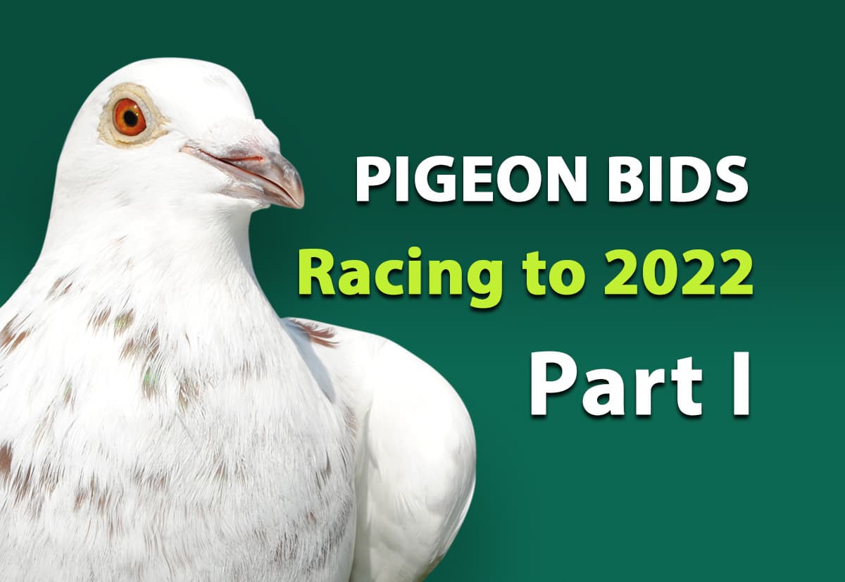 Pigeon Bids Racing to 2022 - Part I