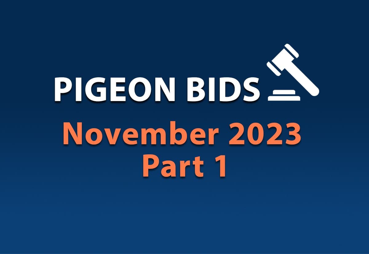 11月第一场网络限时拍卖会