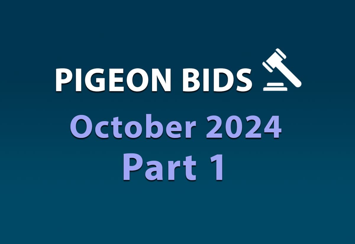 Pigeon Bids October 2024 - Part 1
