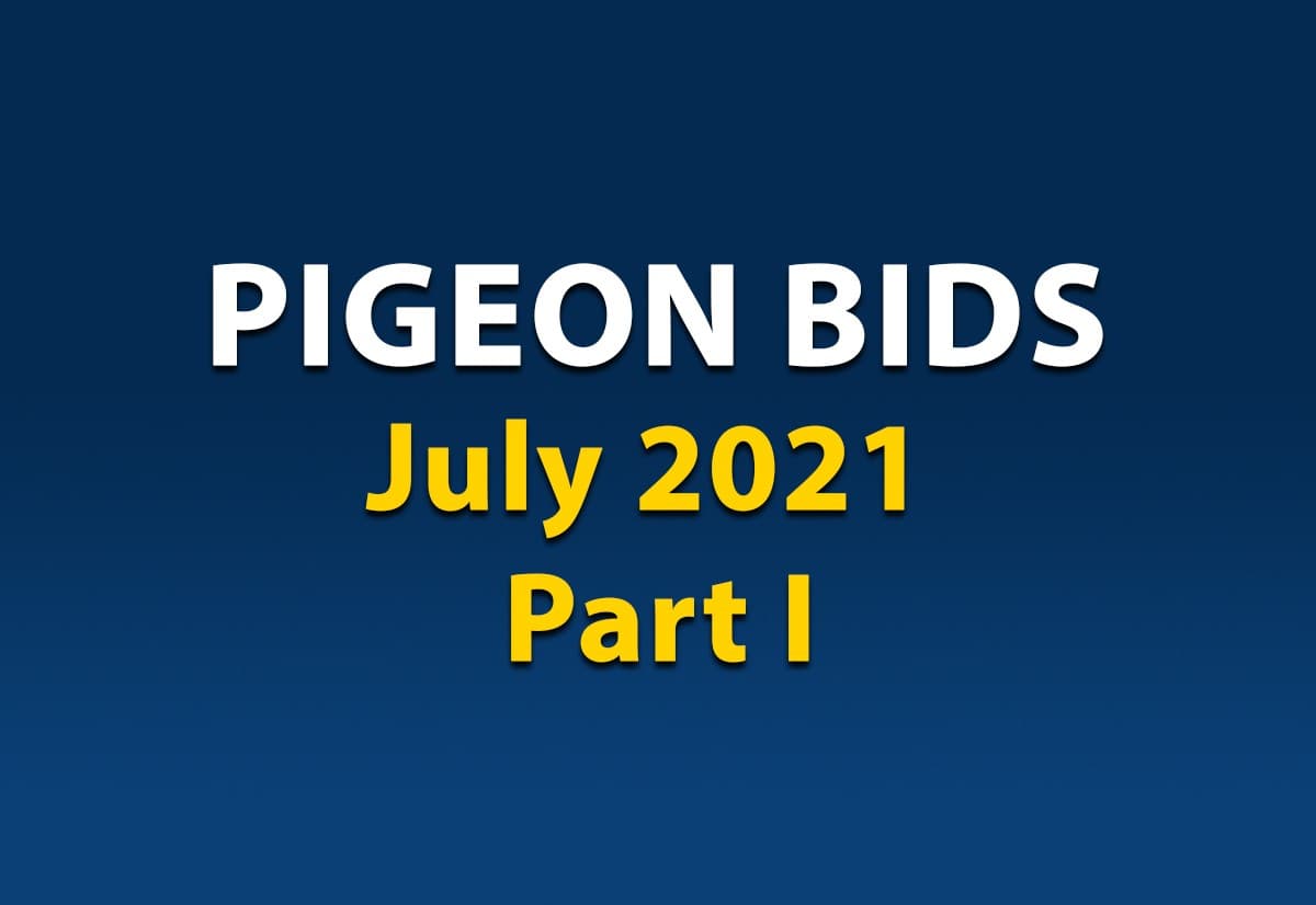 Pigeon Bids July Part I