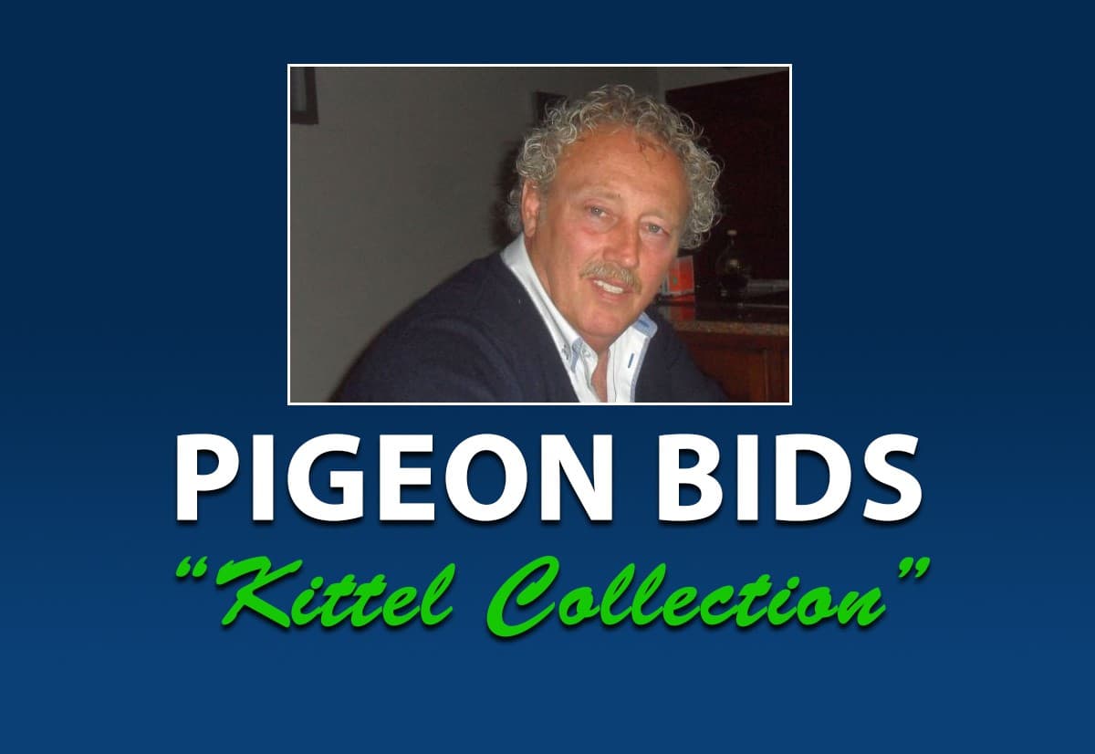 Pigeon Bids Huls Paul
