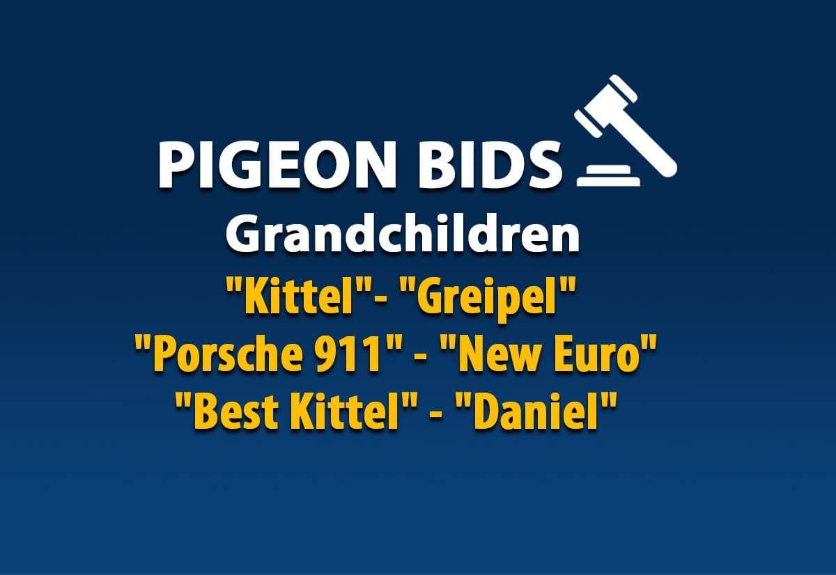 Pigeon Bids grandchildren "Kittel", "Greipel", "Porsche", ...