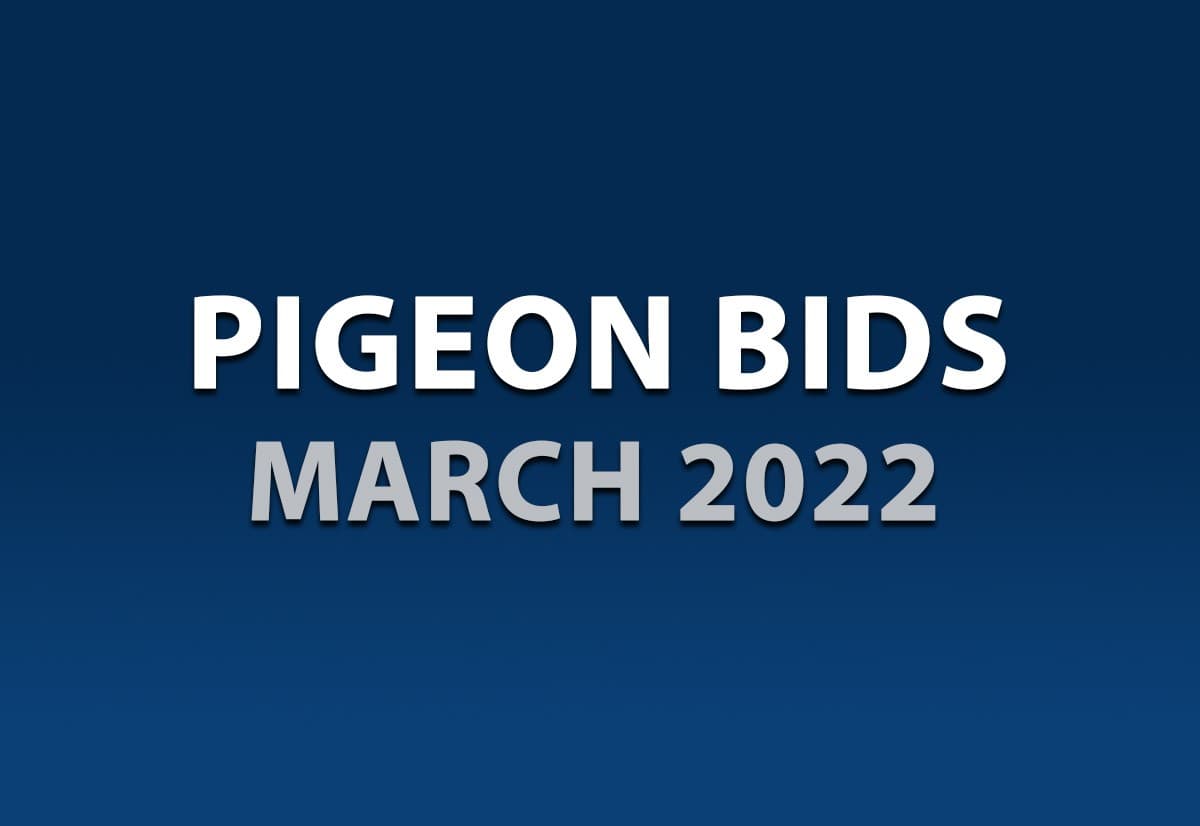 三月份网络限时拍卖会