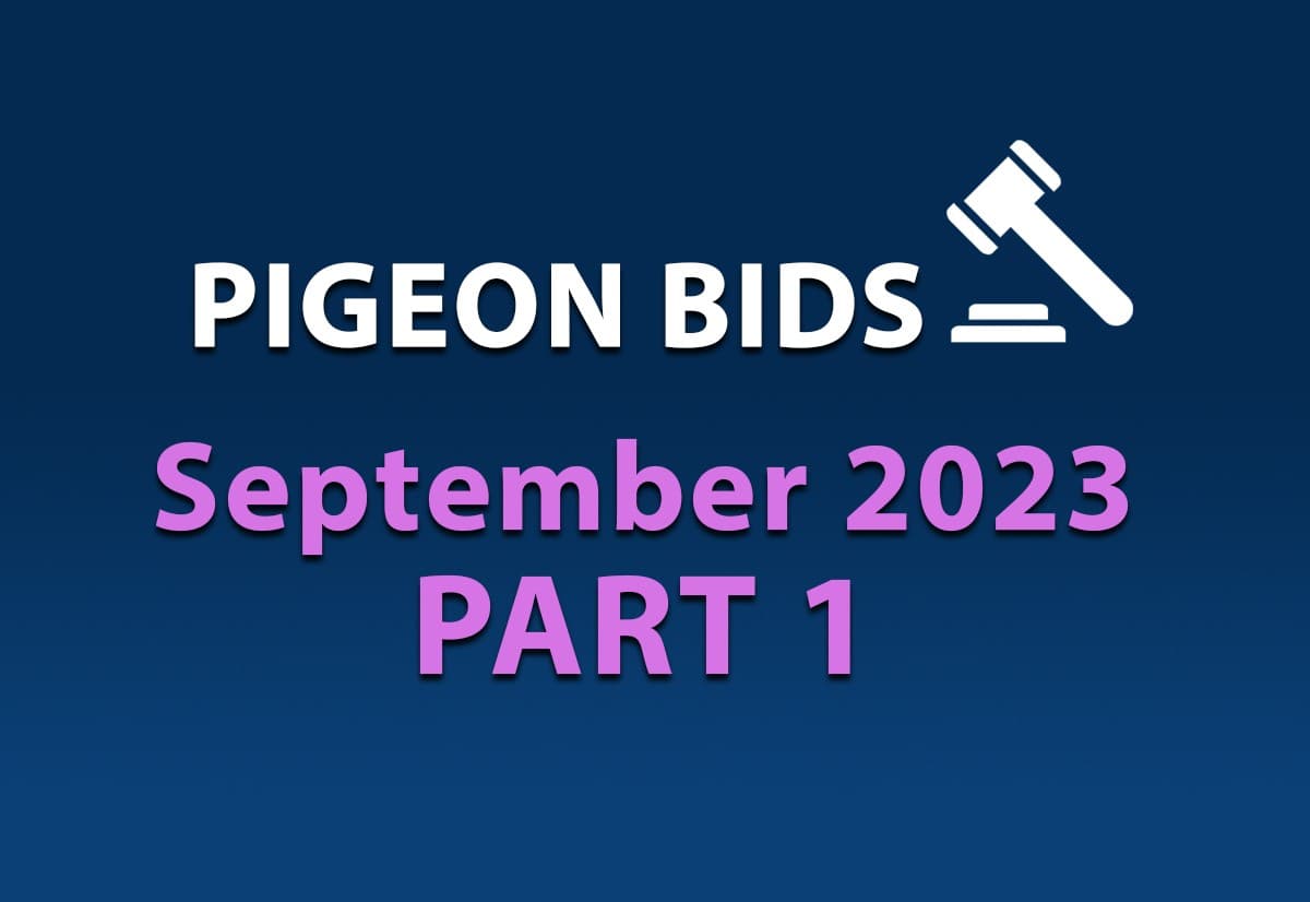 9月份第一场网络限时拍卖会