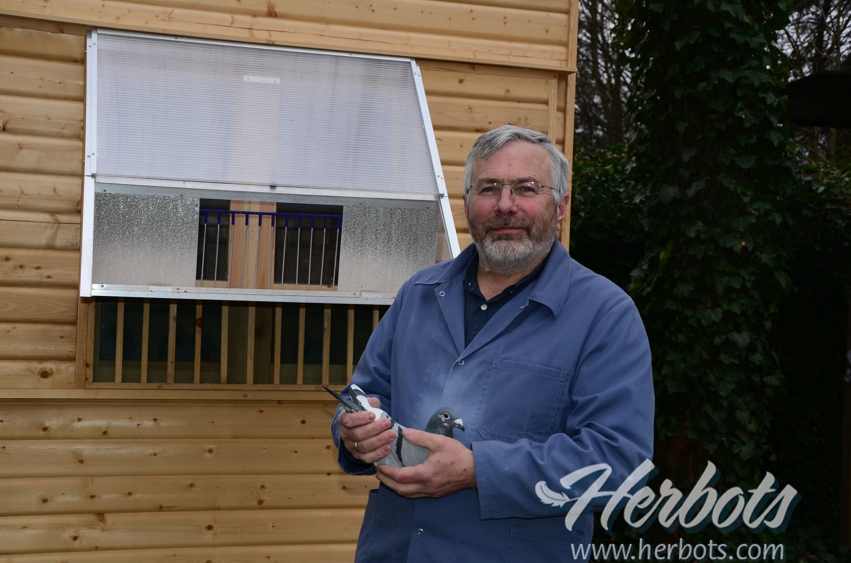 Pigeon Bids Van Den Bulck Dirk (via Fenech Bros) : Part II