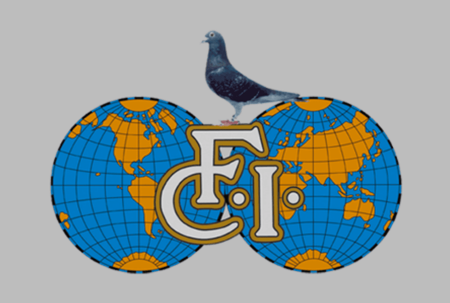 Call for Collaboration: Social Media Enthusiast