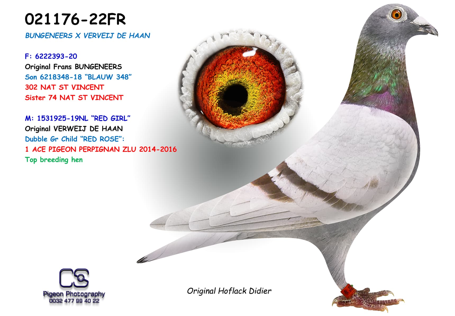BUNGENEERS X VERVEIJ DE HAAN - FR-22-021176