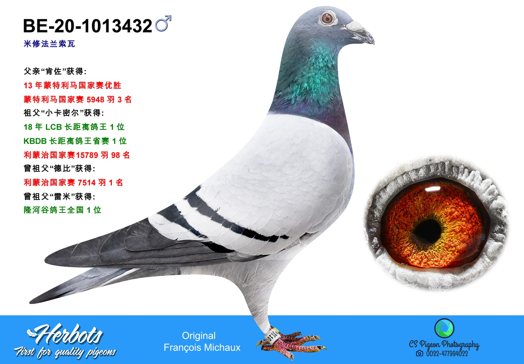 pigeon: undefined