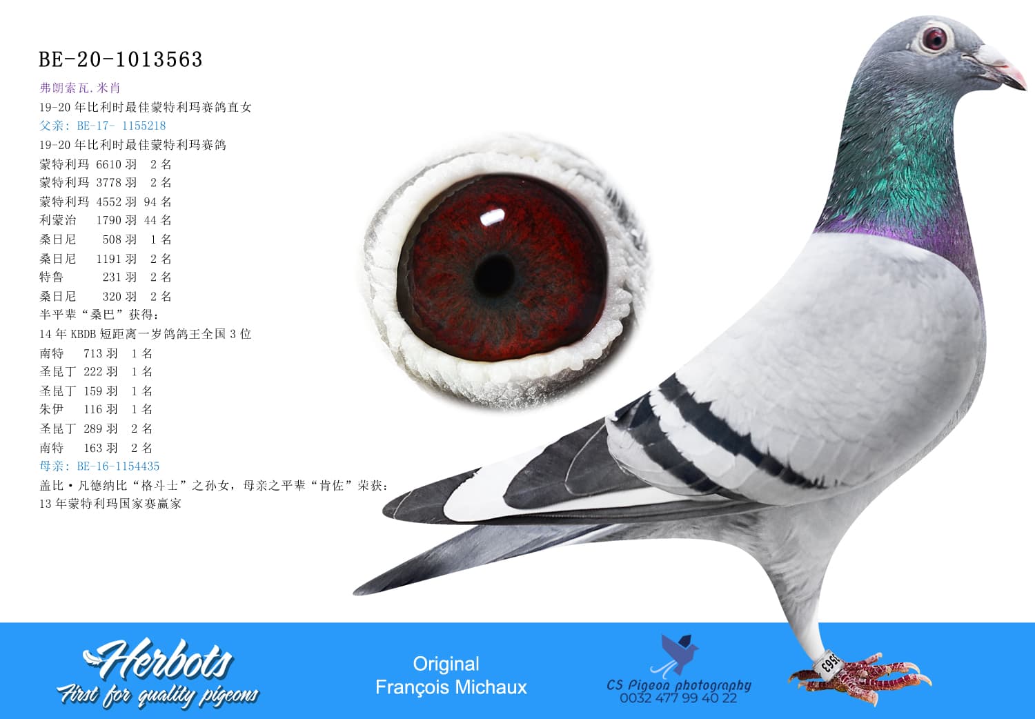 pigeon: undefined