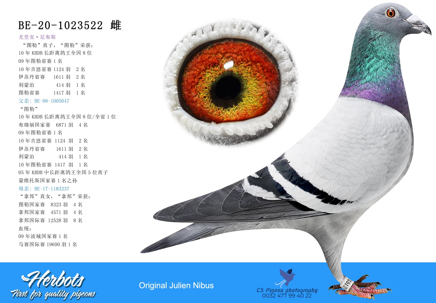 pigeon: undefined