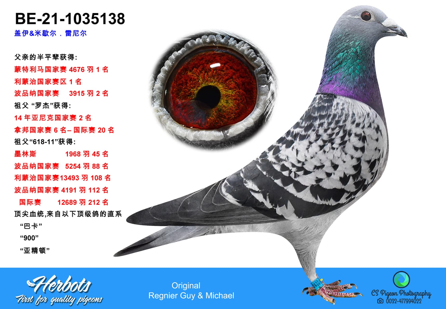 pigeon: undefined