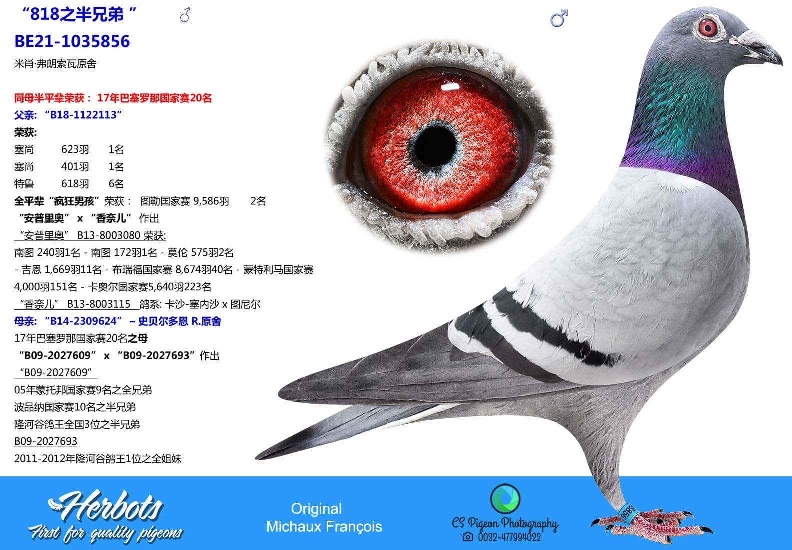 pigeon: undefined