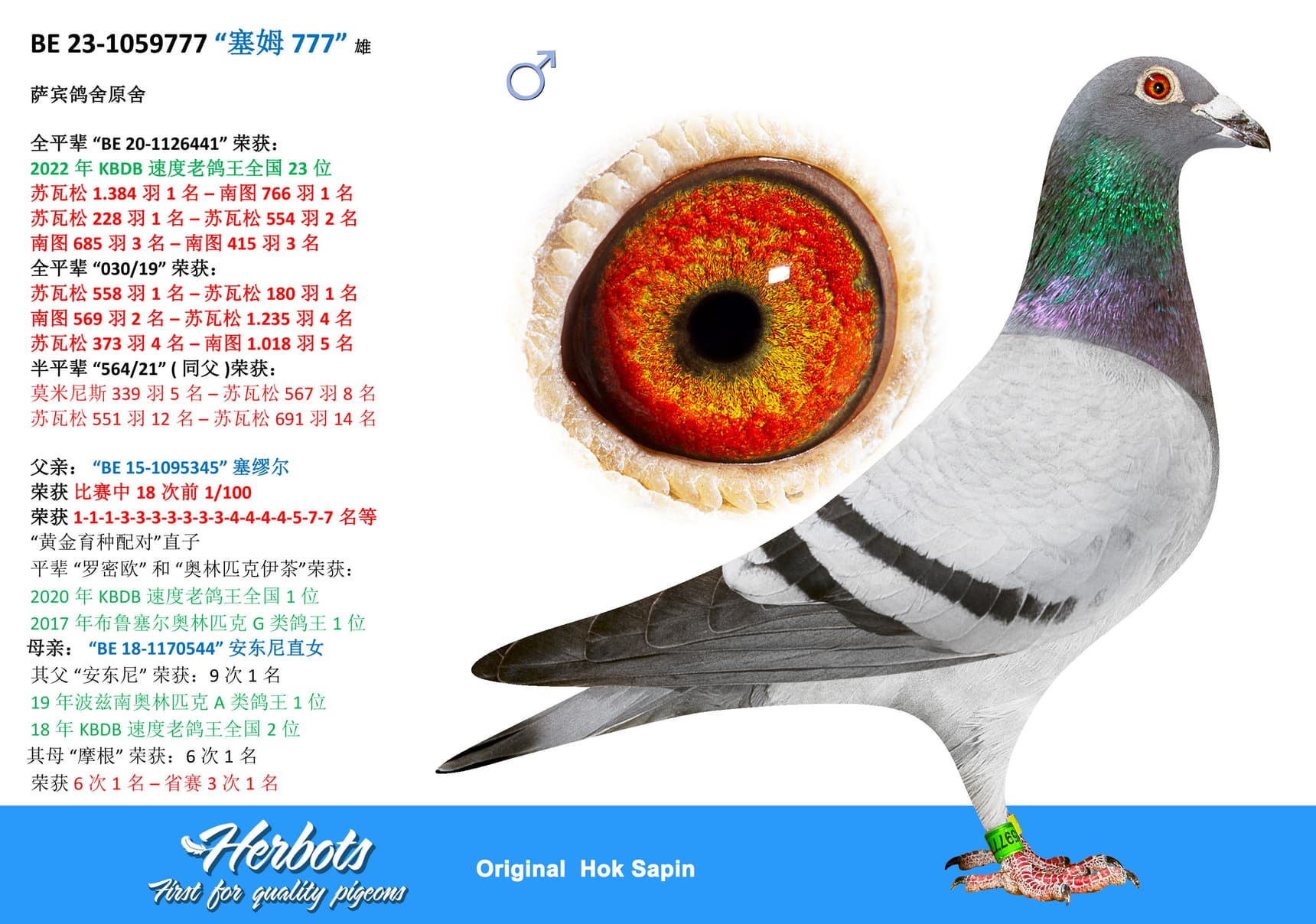 pigeon: undefined