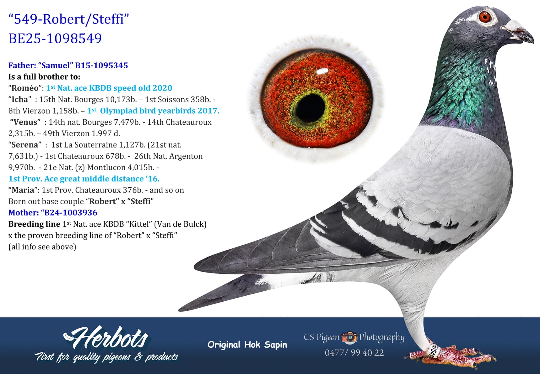 pigeon: undefined