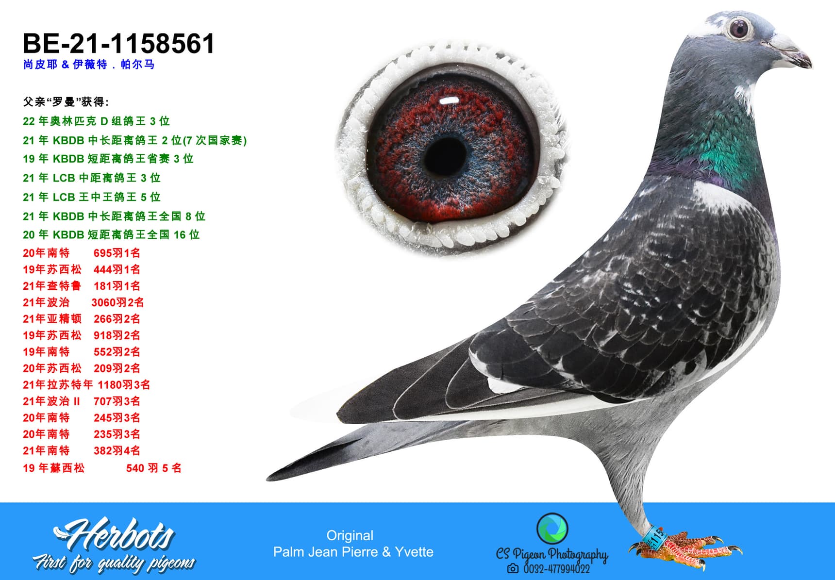 pigeon: undefined