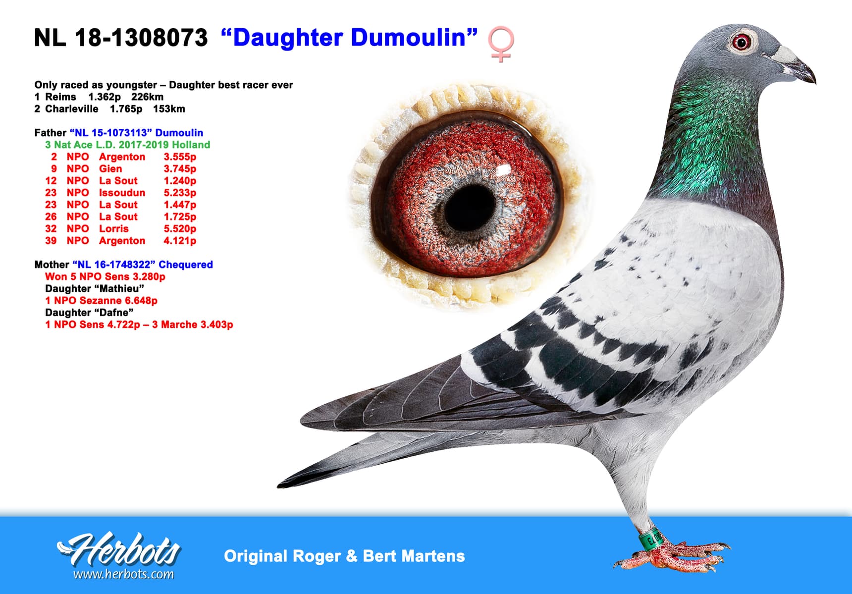 pigeon: undefined