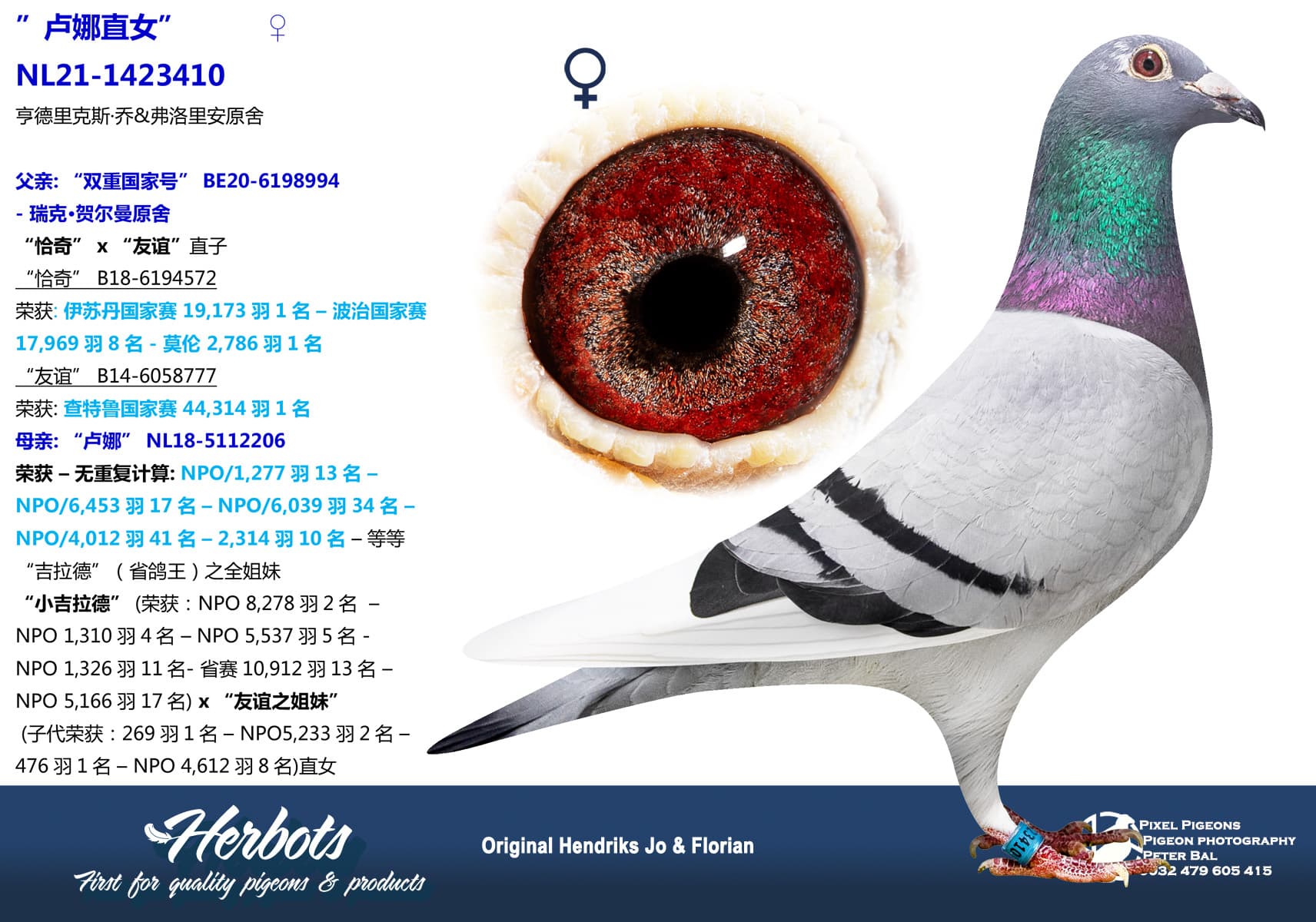 pigeon: ”卢娜直女”