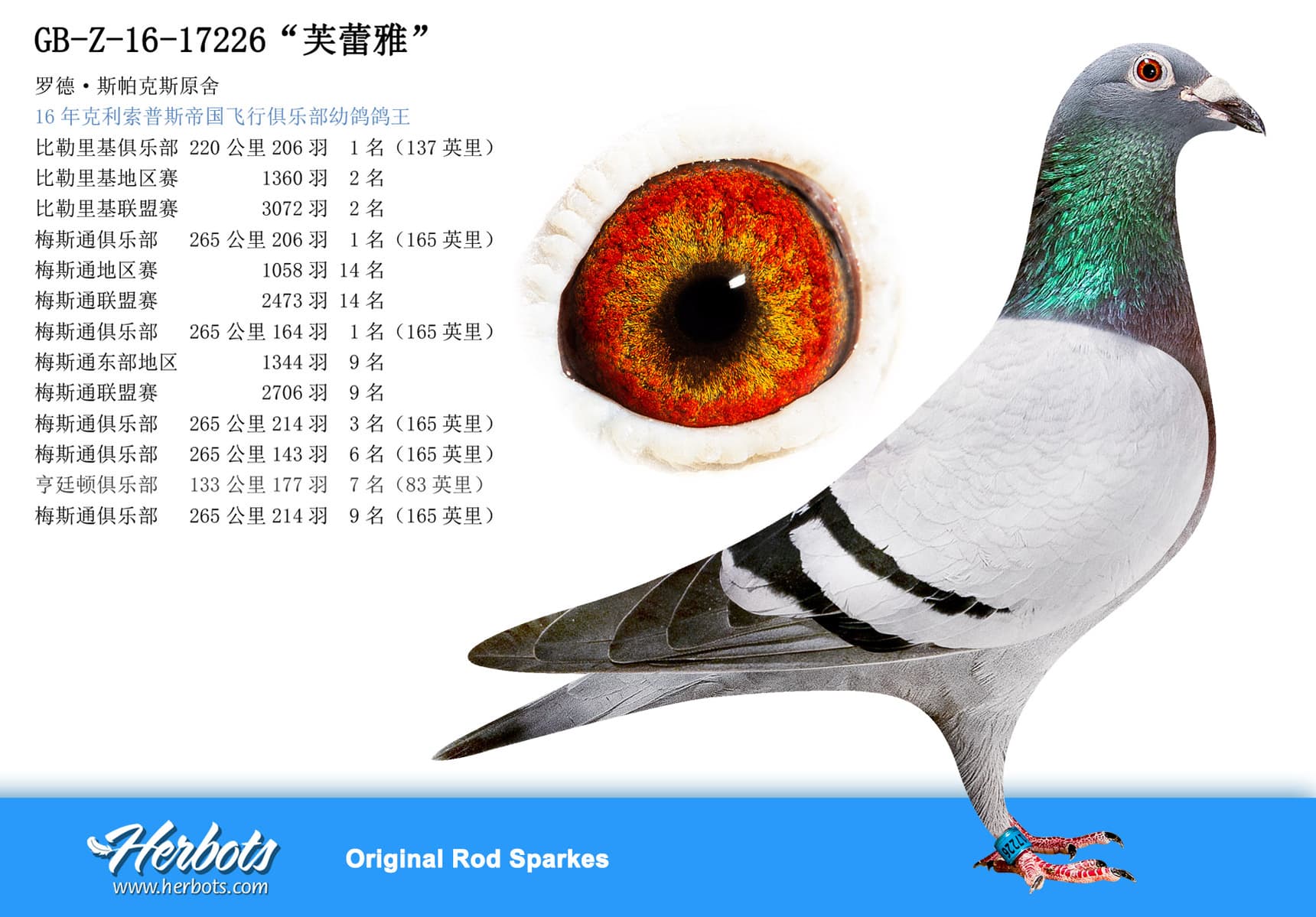 pigeon: “芙蕾雅”