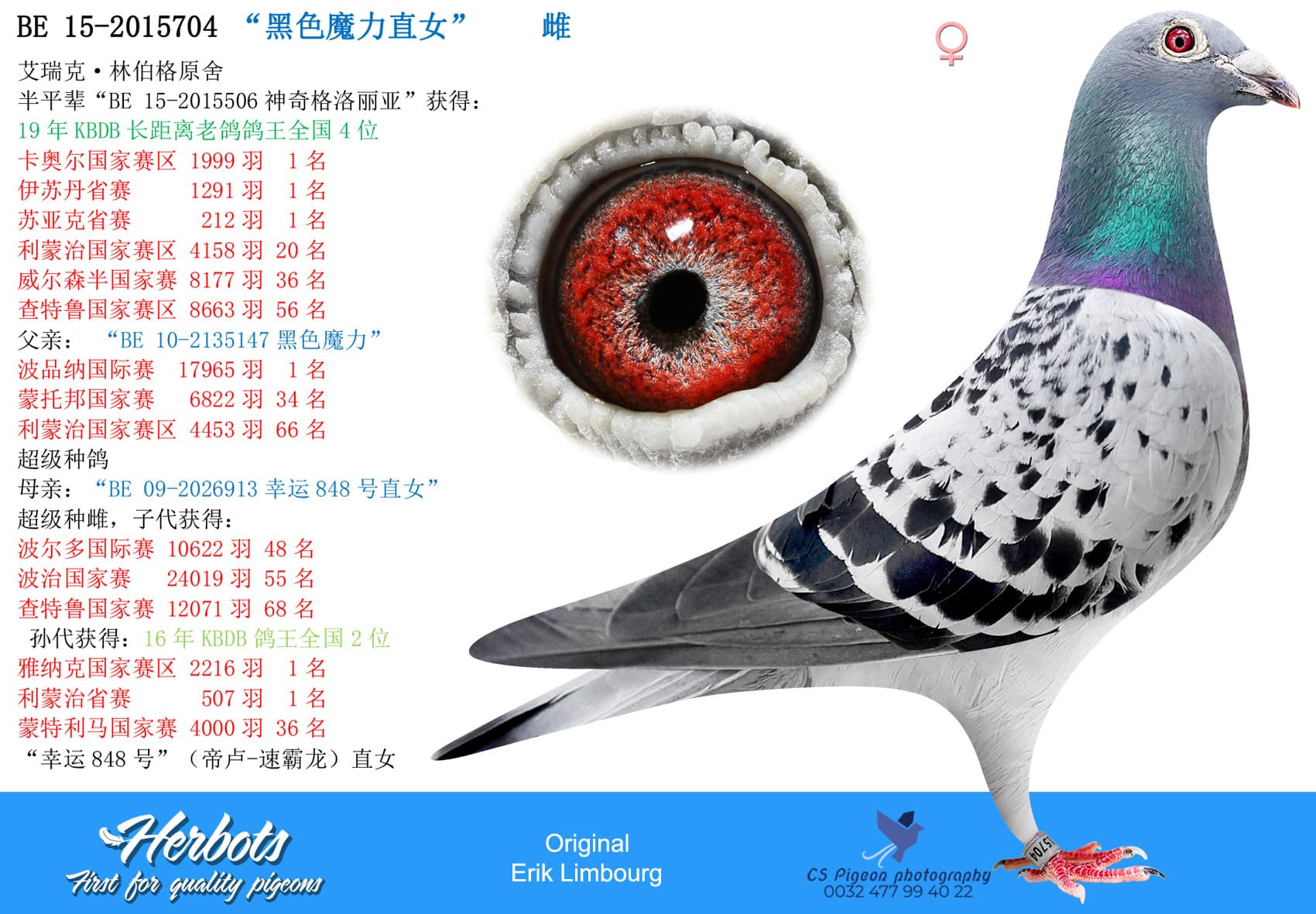 pigeon: “黑色魔力直女”