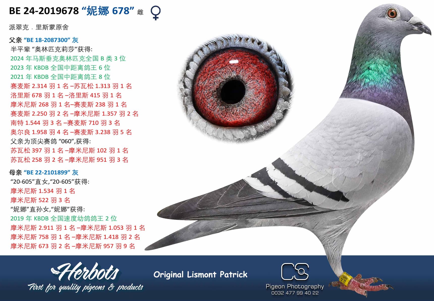 pigeon: undefined