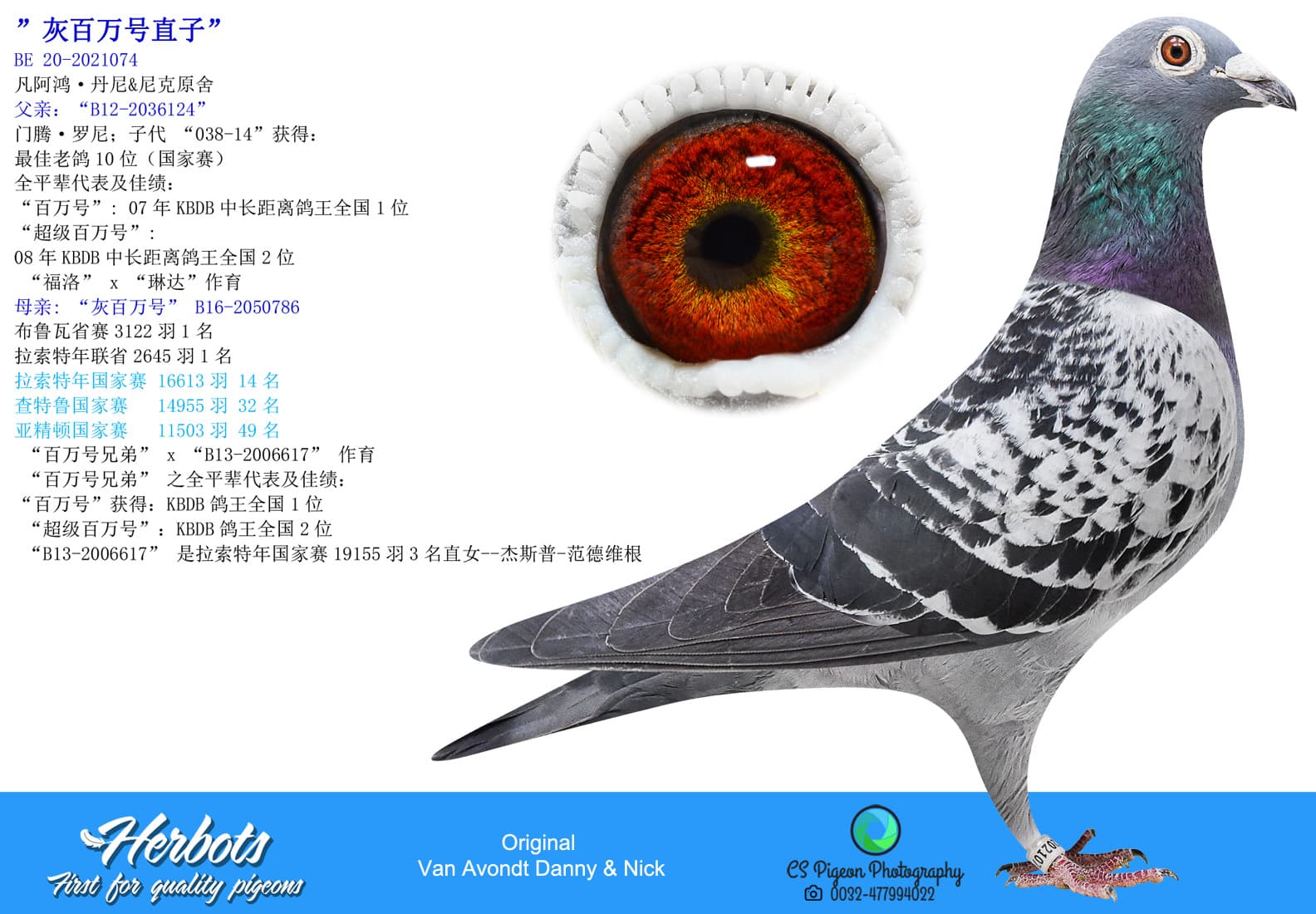 pigeon: undefined