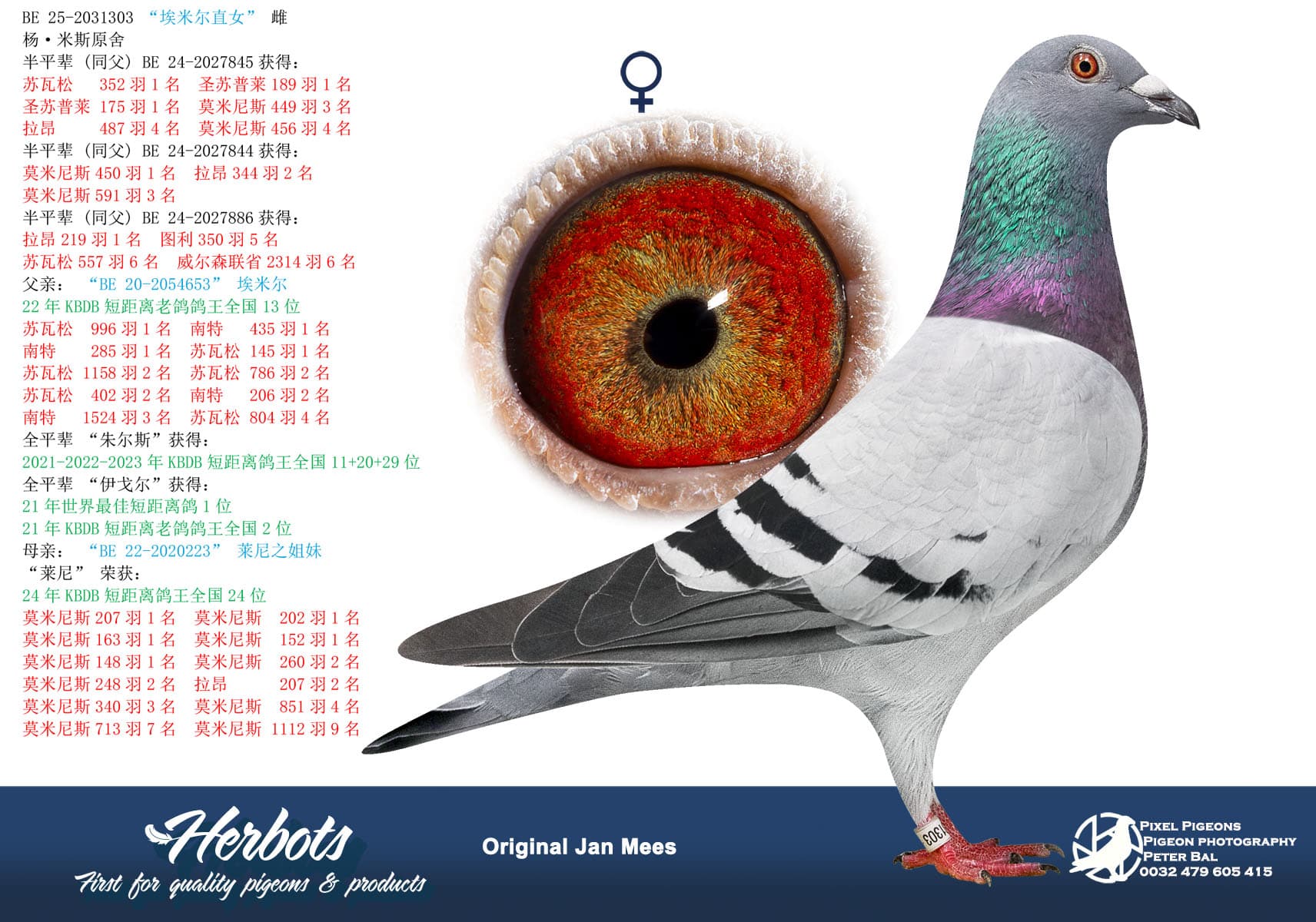 pigeon: “埃米尔直女”