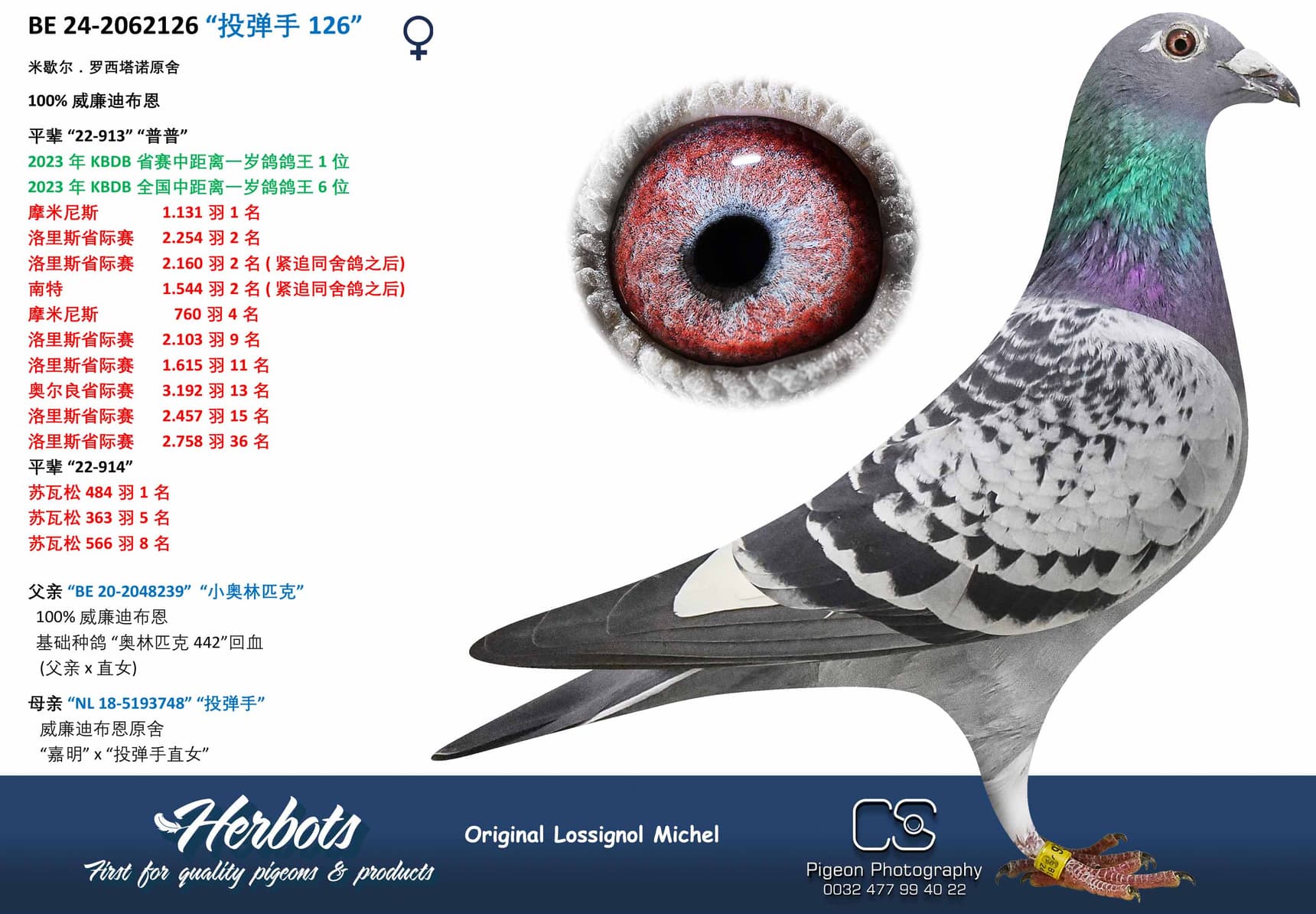 pigeon: undefined