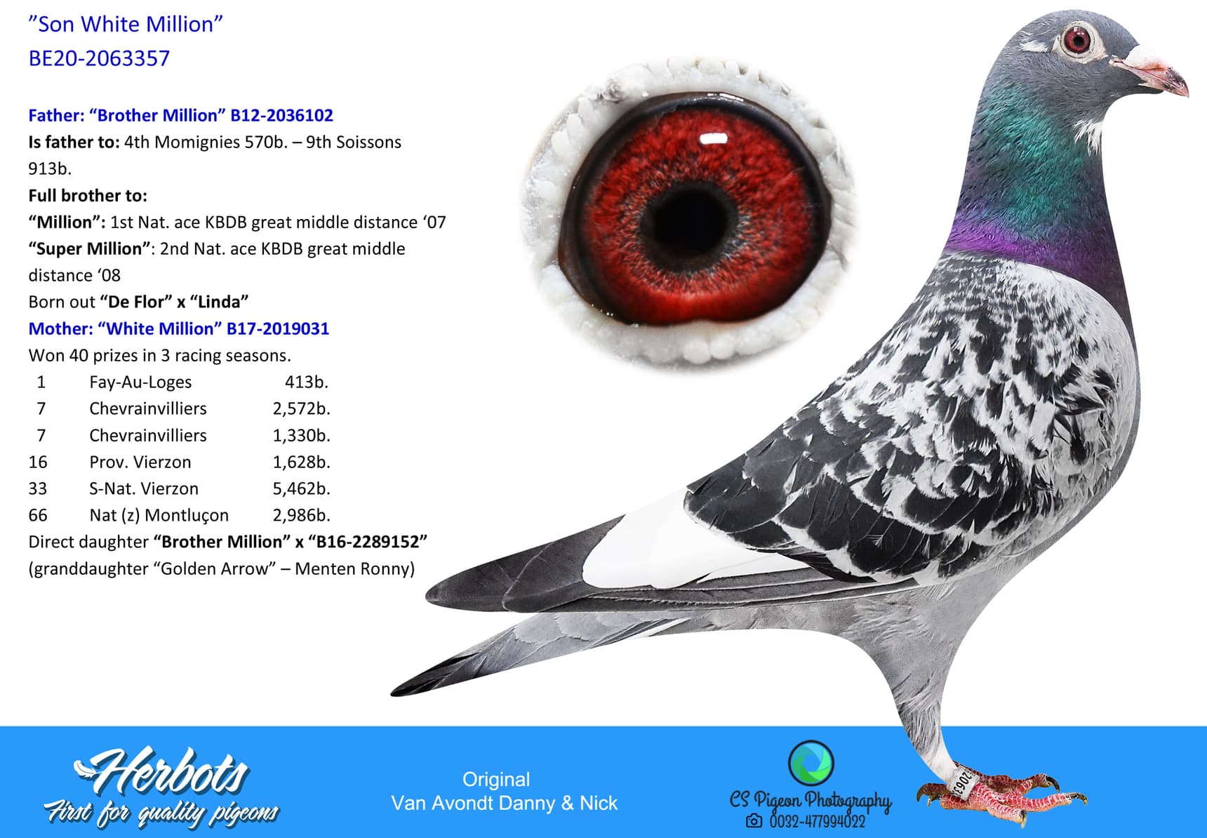 pigeon: undefined