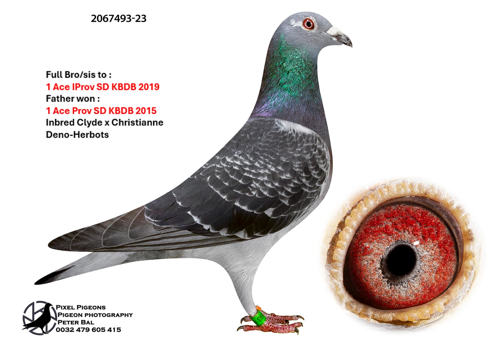 Daughter of ‘Brother 711’