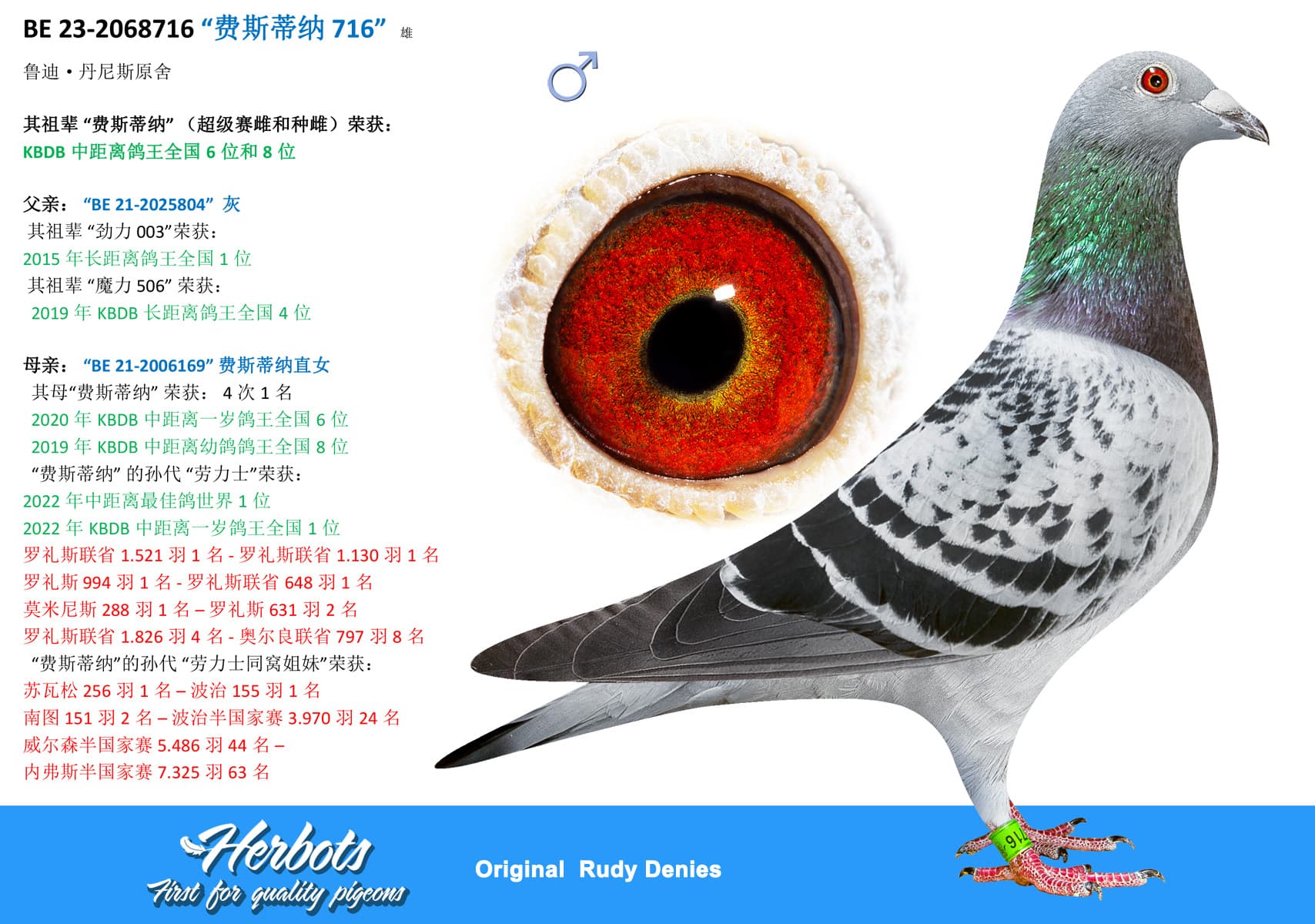 pigeon: undefined