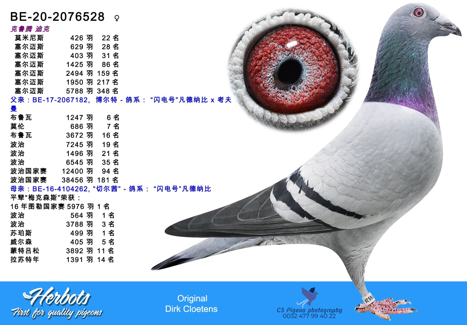 pigeon: undefined