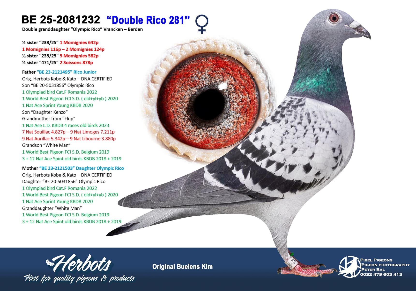 ‘Double Rico 281’