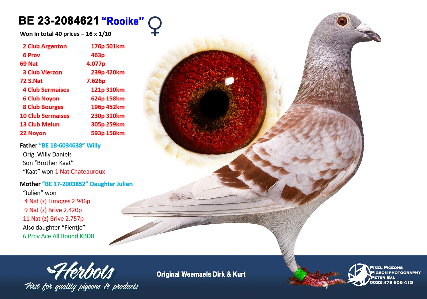 pigeon: undefined