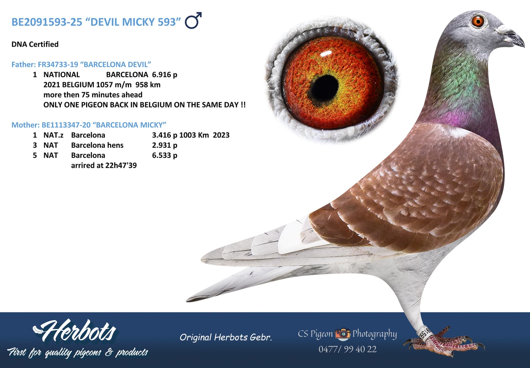 “DEVIL MICKY 593”