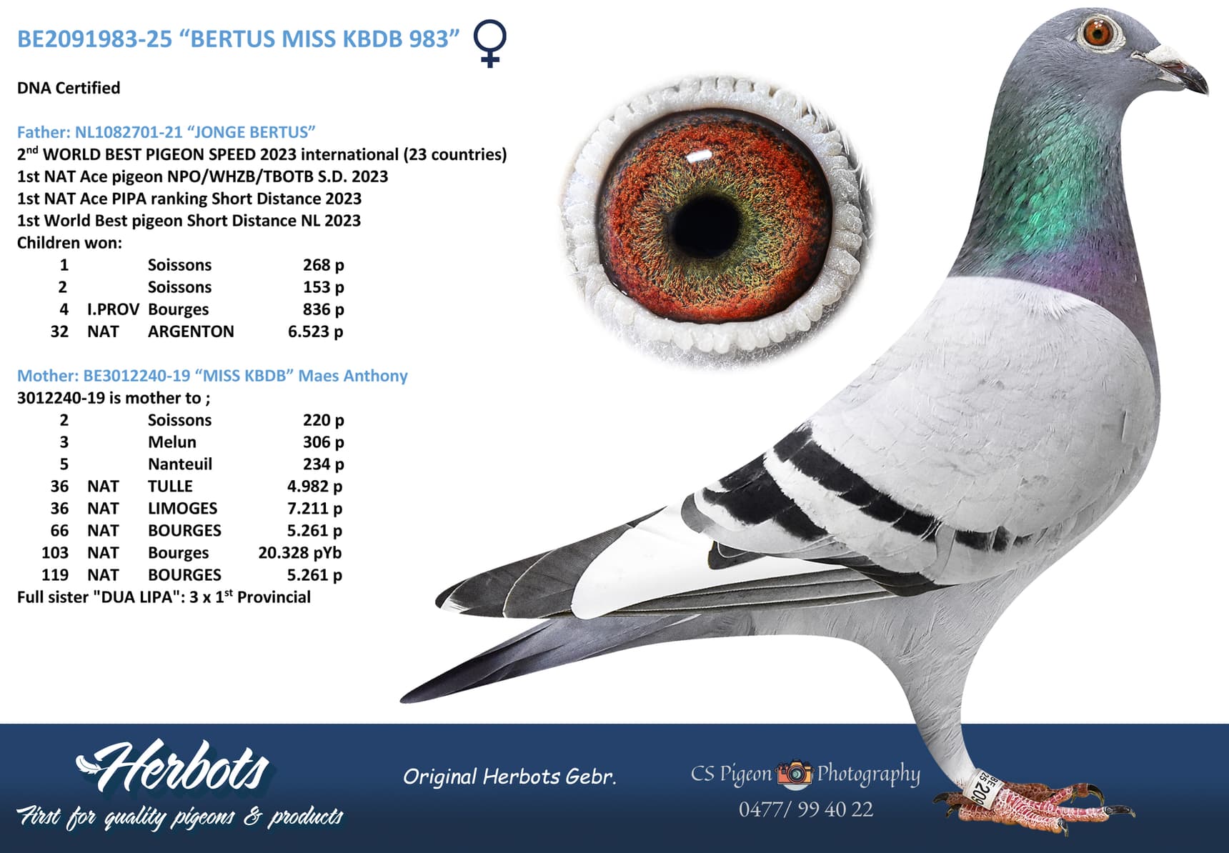 “BERTUS MISS KBDB 983”