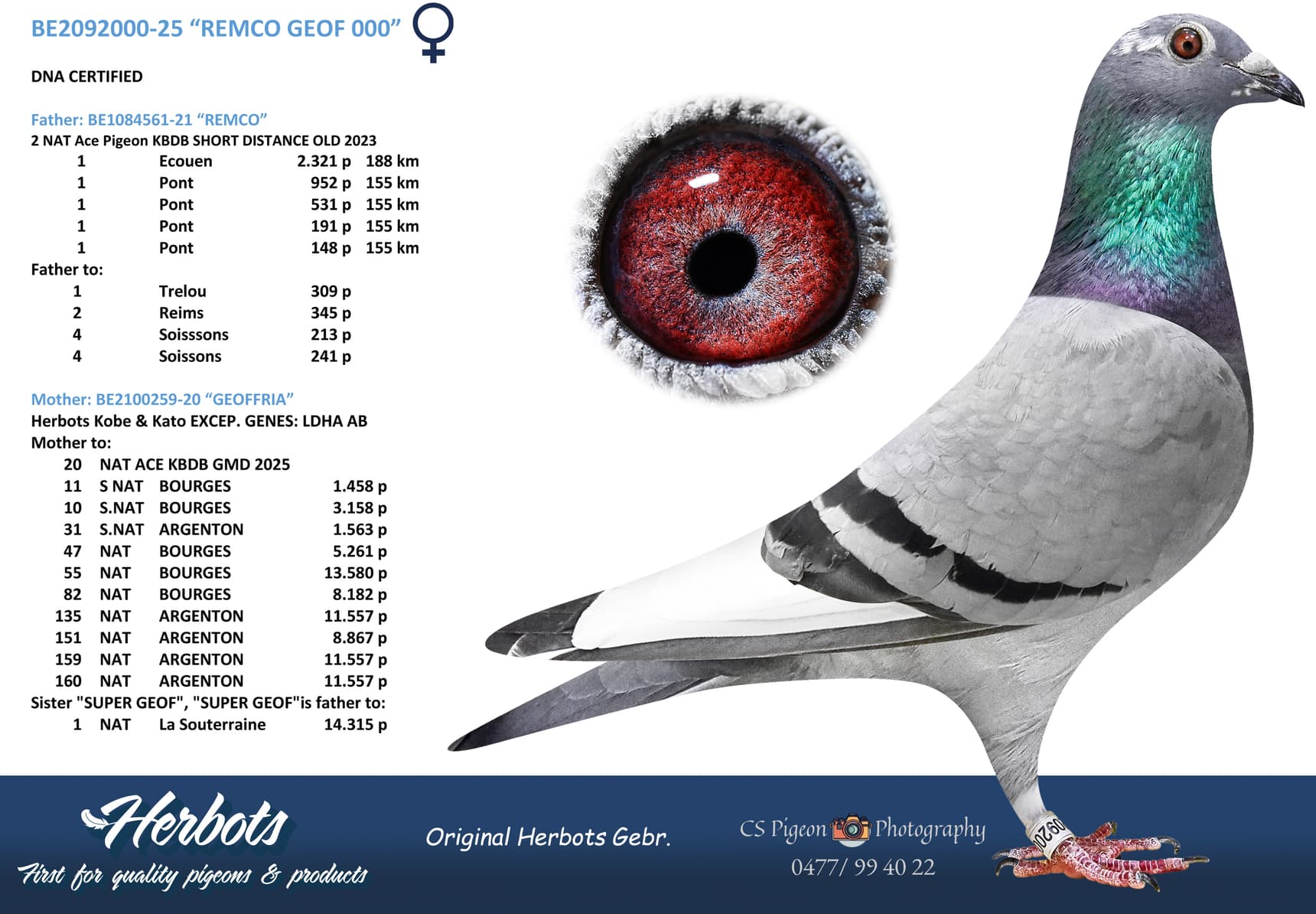 “REMCO GEOF 000”